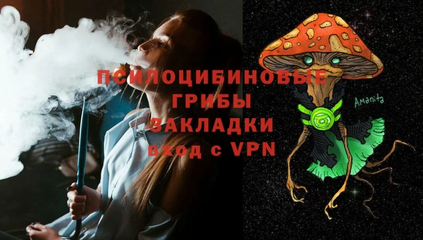 PSILOCYBIN Волосово