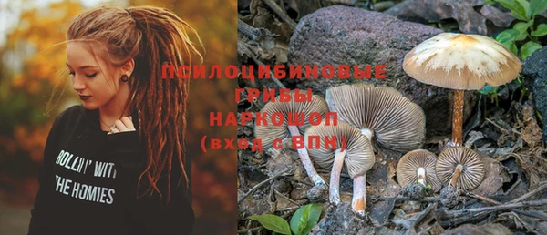 PSILOCYBIN Волосово