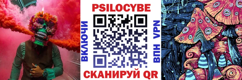 купить наркотики цена  Дно  Псилоцибиновые грибы мицелий 